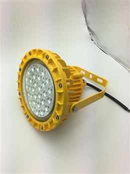 60W造船厂LED防爆灯/高光效防爆泛光LED灯
